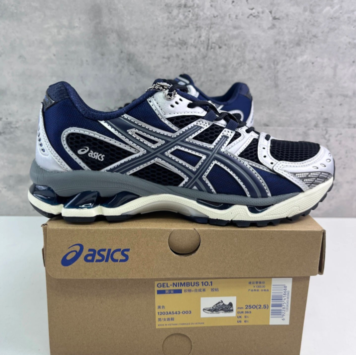 Asiscs Gel Nimbus 10.1