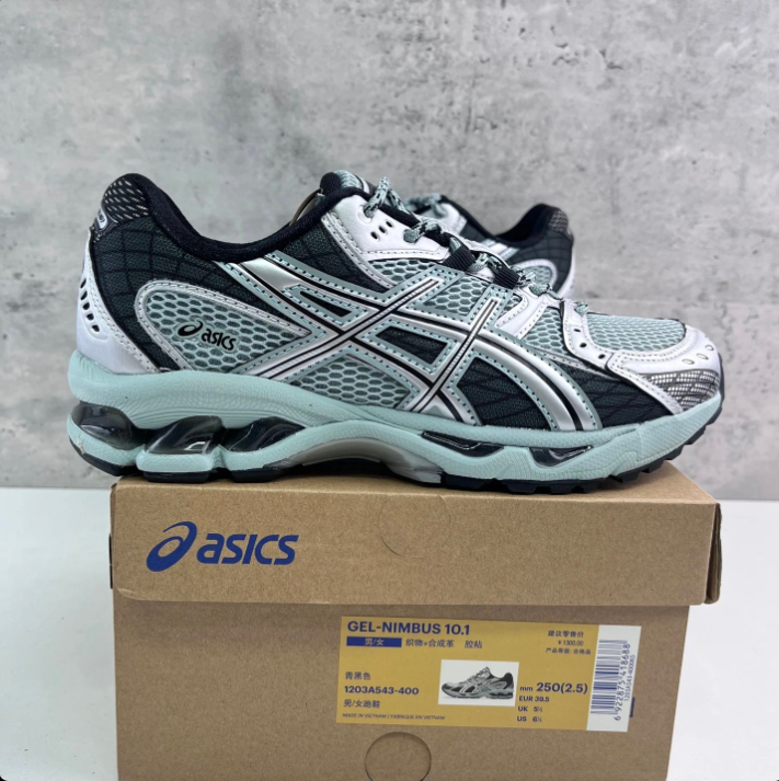 Asiscs Gel Nimbus 10.1